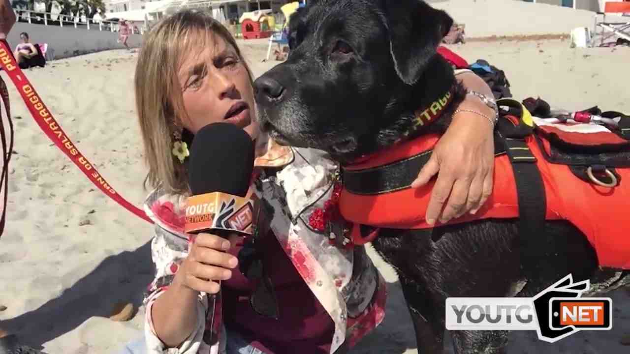 Intervista Cani