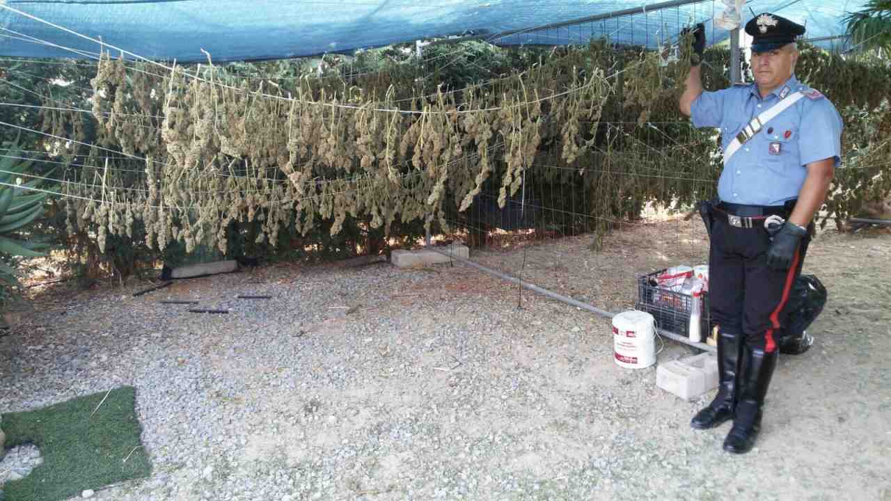 Marijuana Selargius Serra Carabinieri