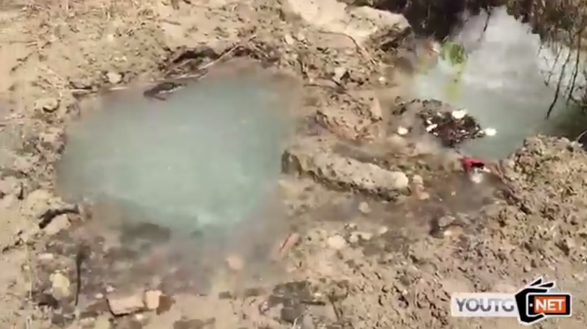 Perdita Dacqua Acqua