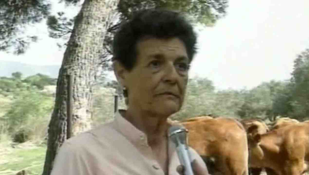 Rita Carboni Boy