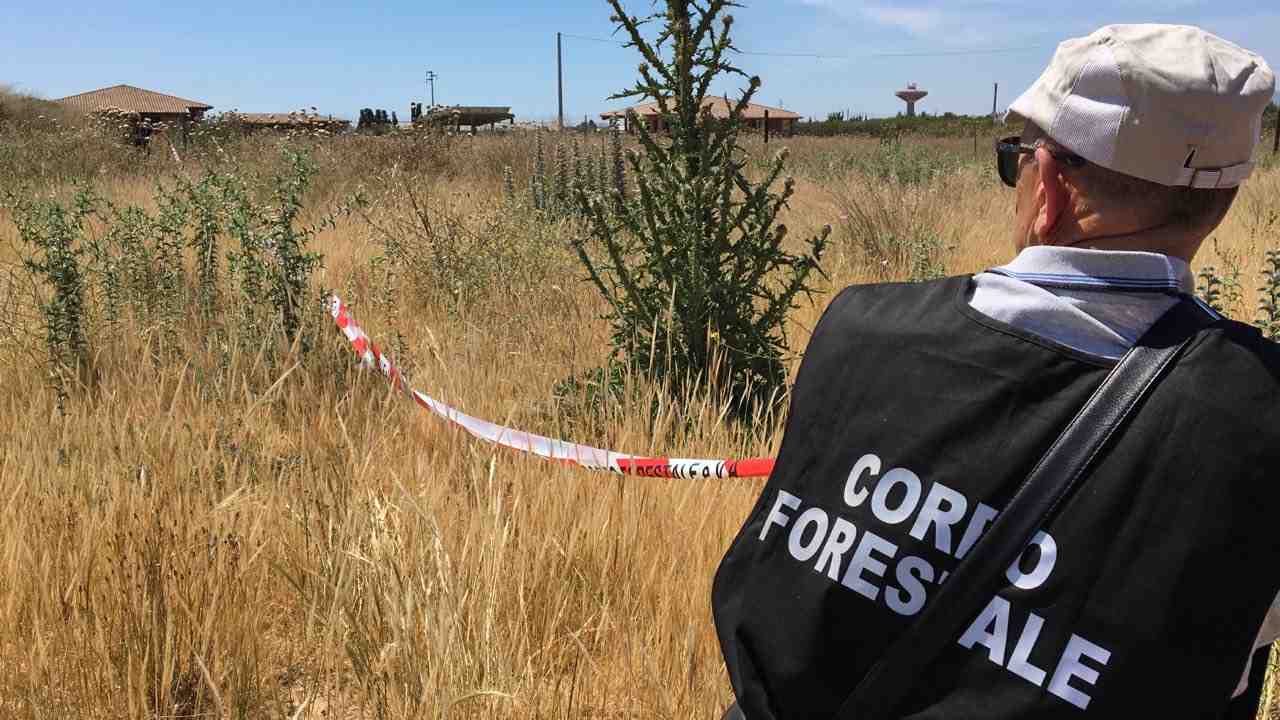 Sequestro Discarica Fluorsid Forestale Su Pillari