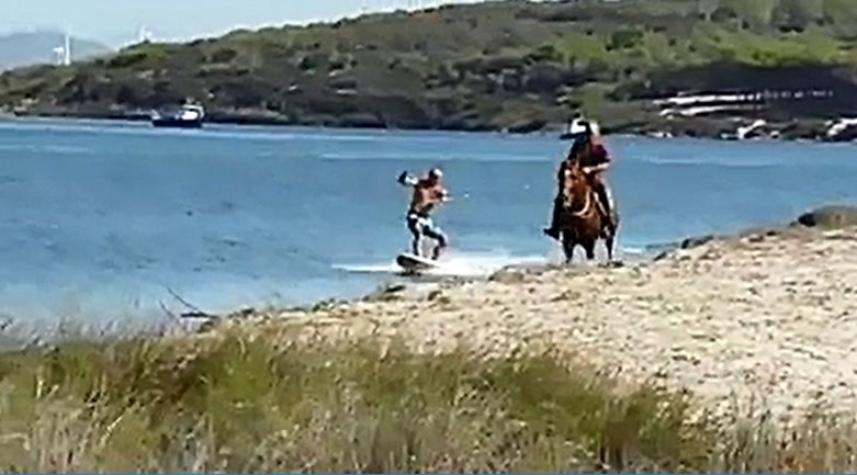 Surf Con Il Cavallo