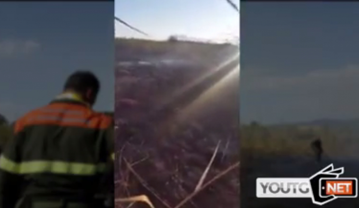 Video Molentargius C