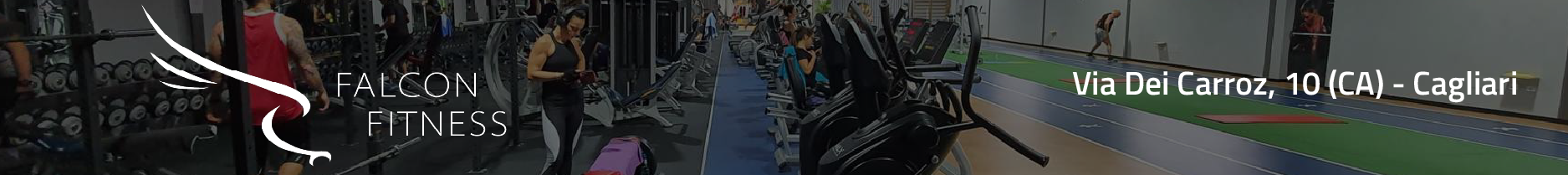 Banner Falcon Fitness - Palestra