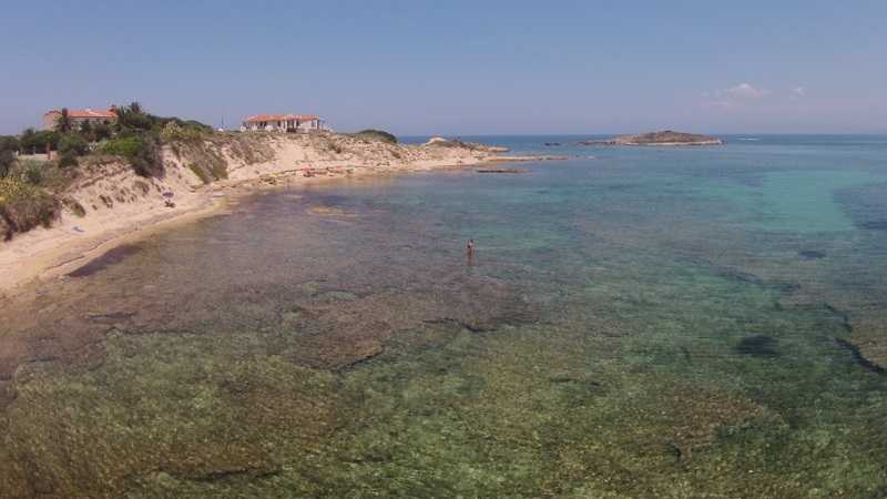 Su-Pallosu