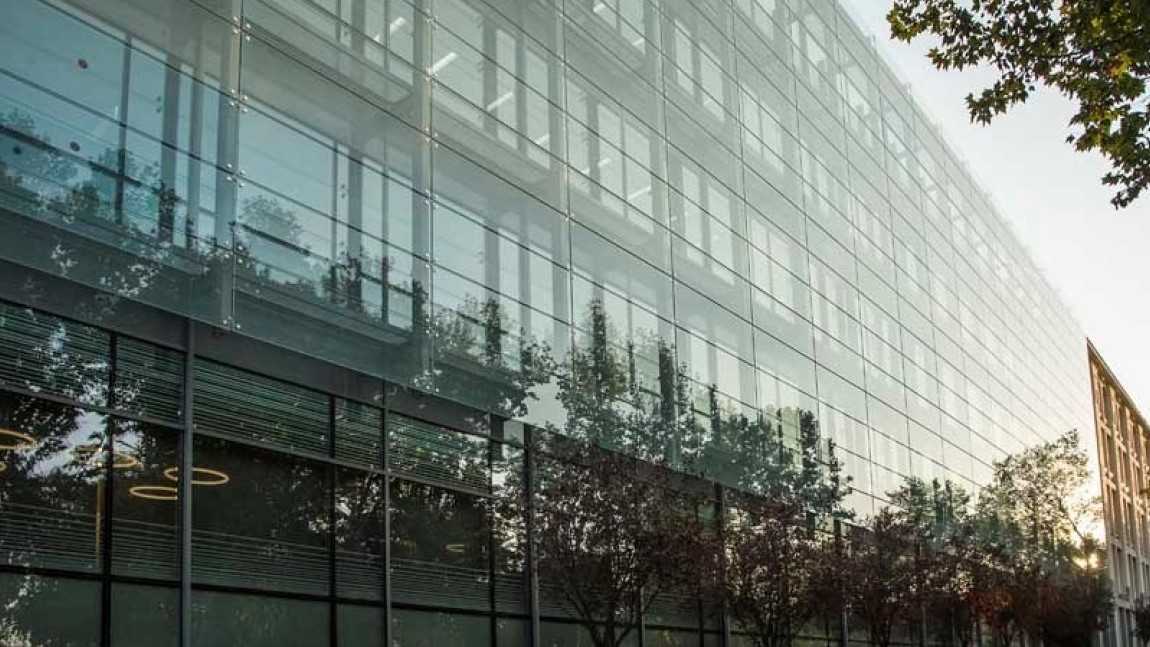 amazon-madrid
