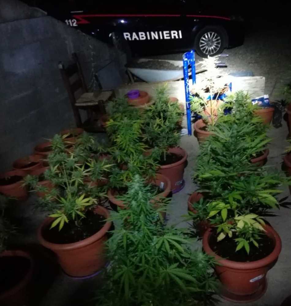 carabinieri-arbus-marijuana