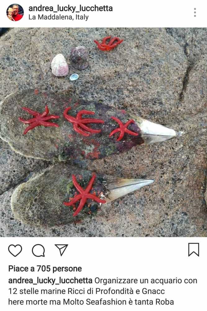 Post-di-Lucchetta