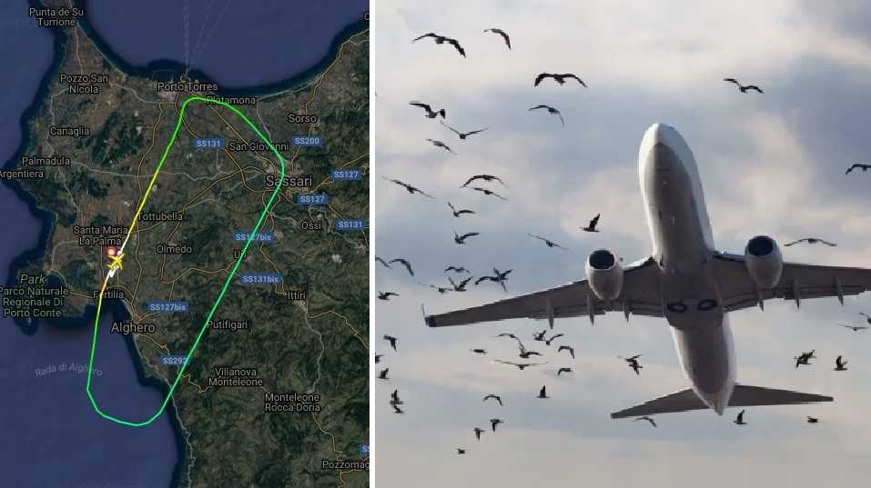 Bird-strike-incidente-Alghero