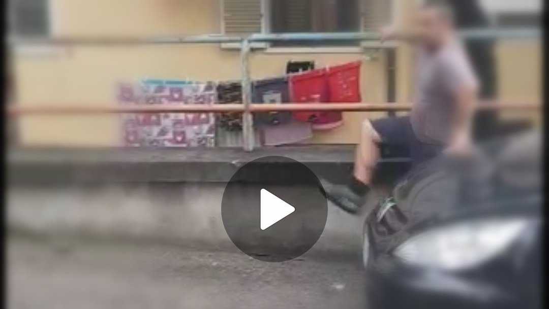 Cane-Video-Checco