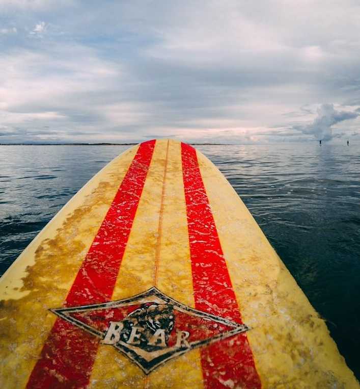 Surf