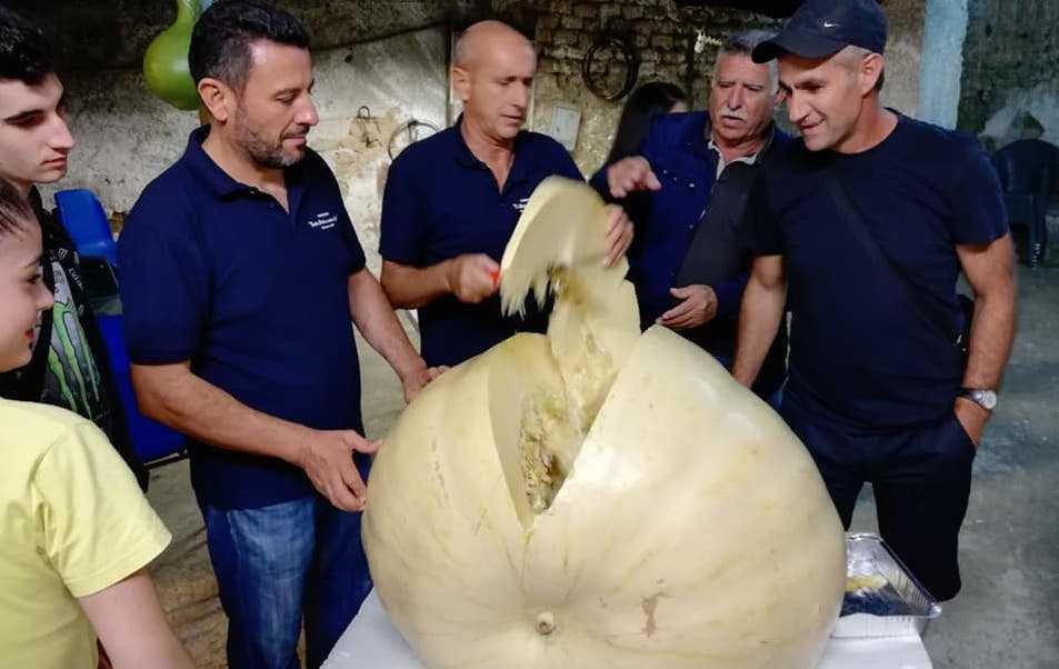 zucca-record-