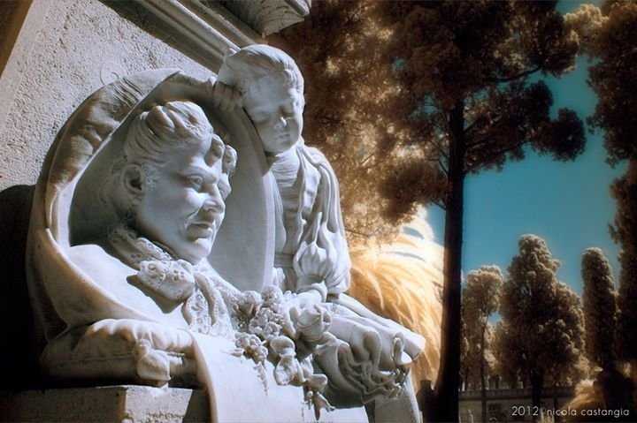 cimiterobonariafull