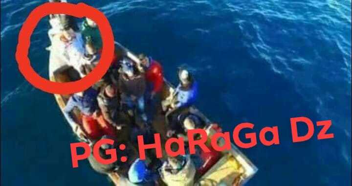 haragadz