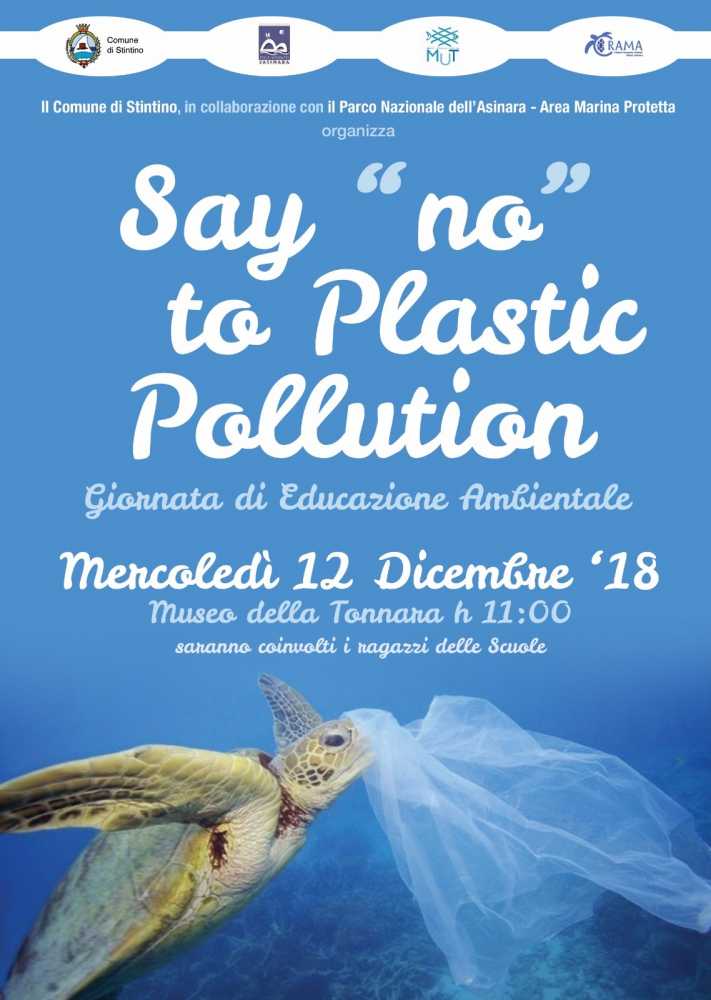 Tartaruga-plastica-intera