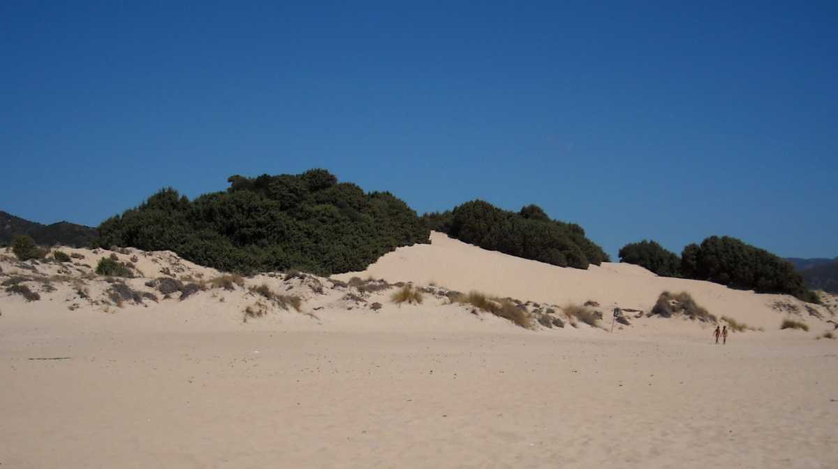 dune-di-chia