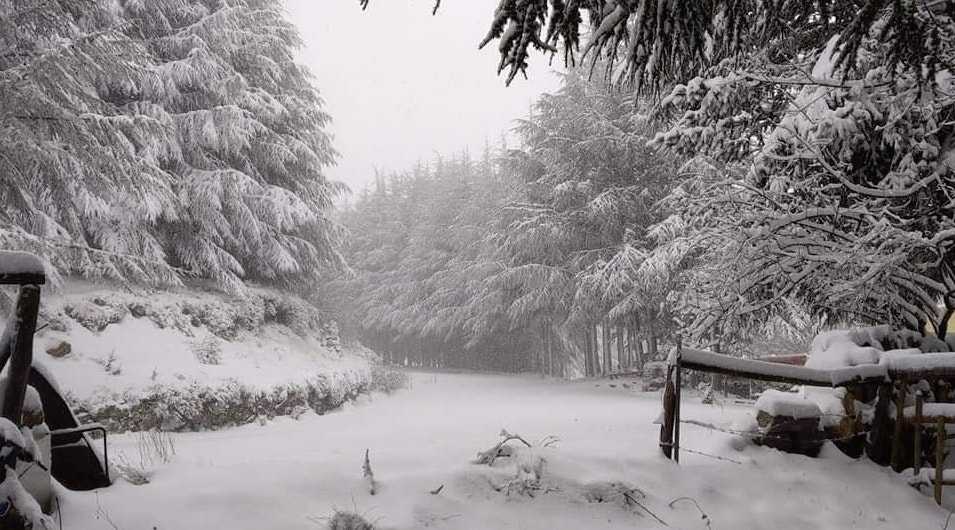 gennargentu-innevato