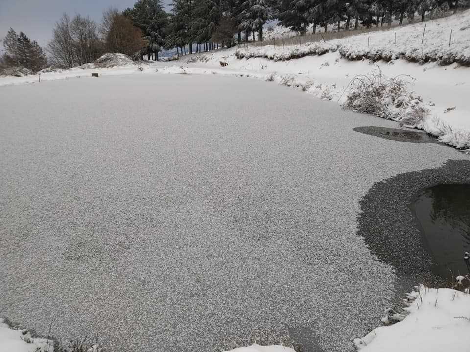 neve-gelata-sardegna