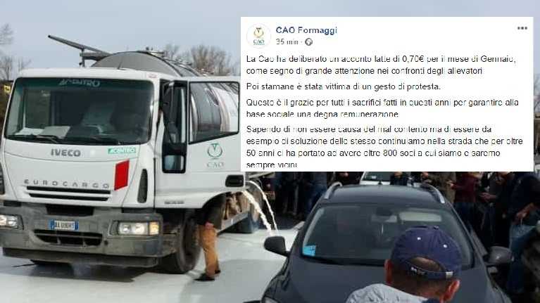 Cao-Latte-versato