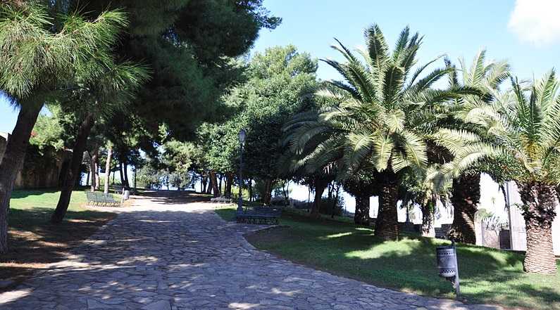 Parco-di-Bonaria-palme