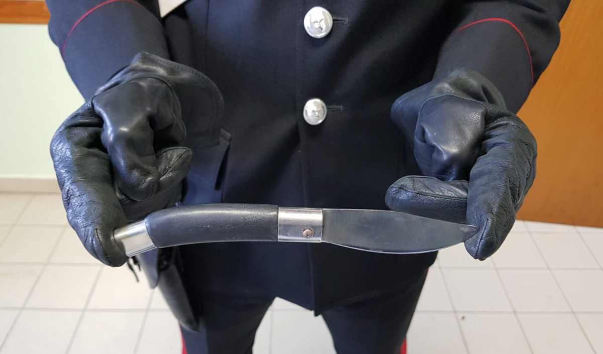assemini-coltello