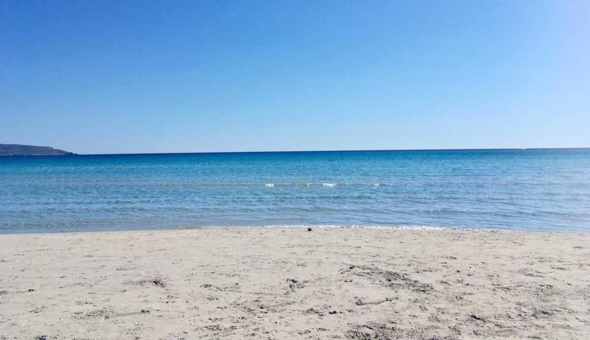 Porto-Pino