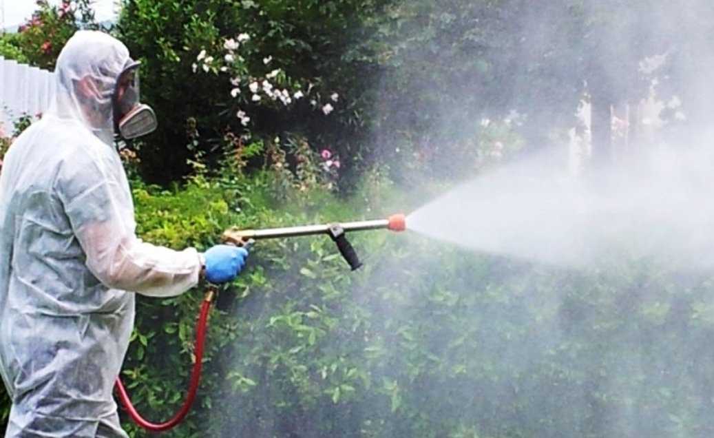 disinfestaz-insetti