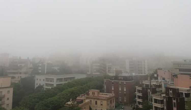 nebbia-ca