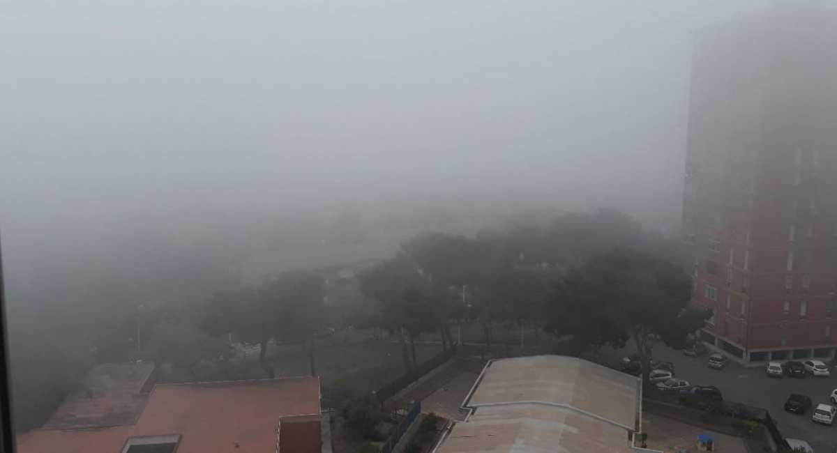 nebbia