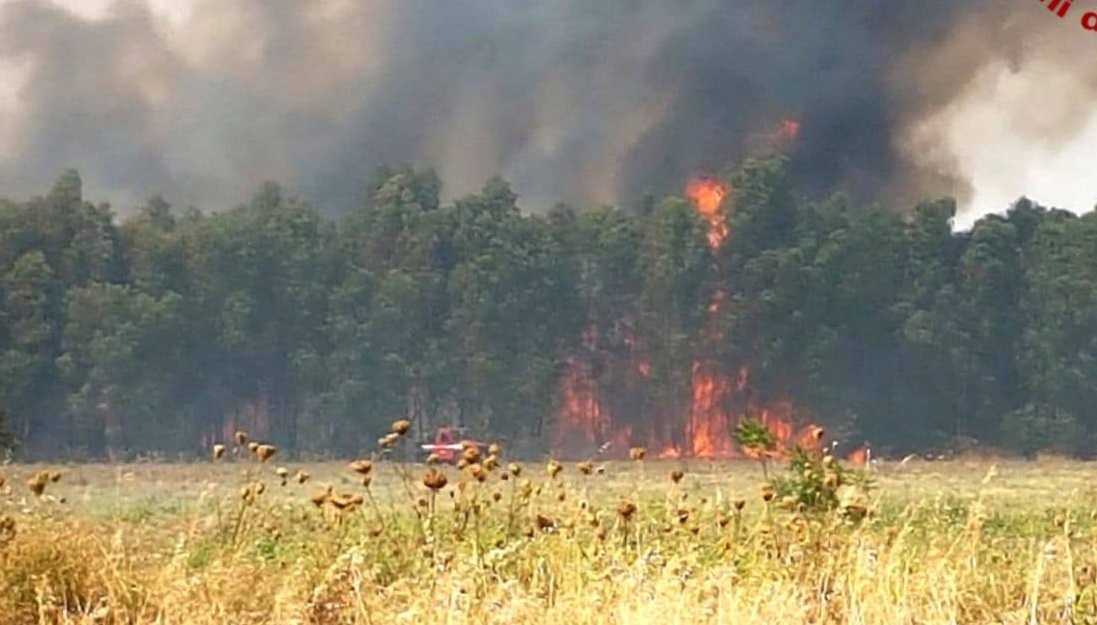 Incendio-Uta