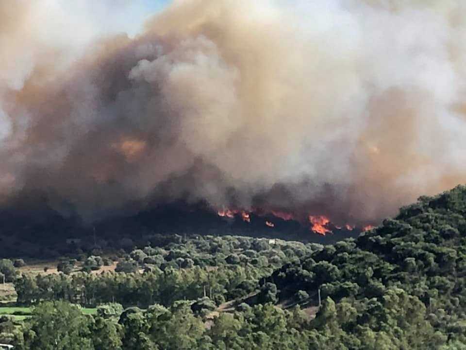 Incendio-cea-2