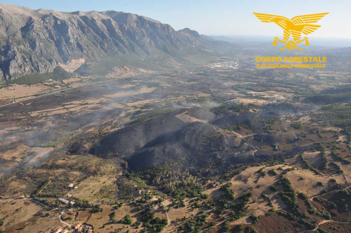 iNCENDIO-SINISCOLA-DALLALTO
