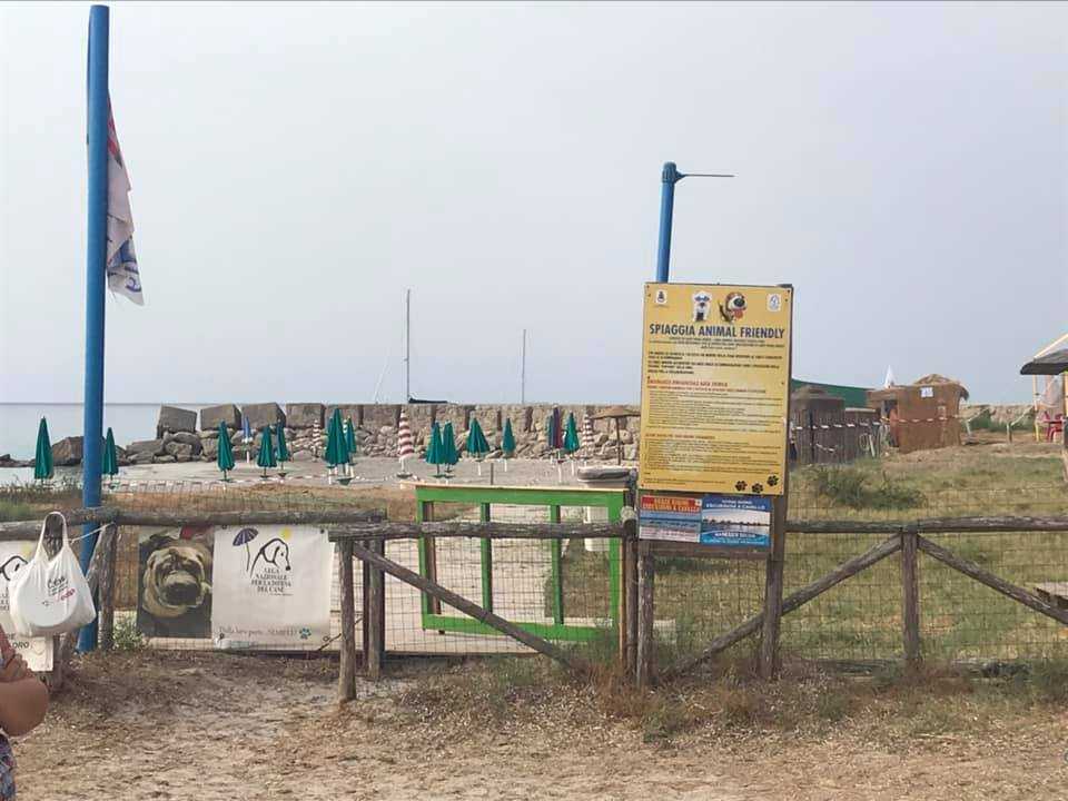 spiaggia-animal-friendly