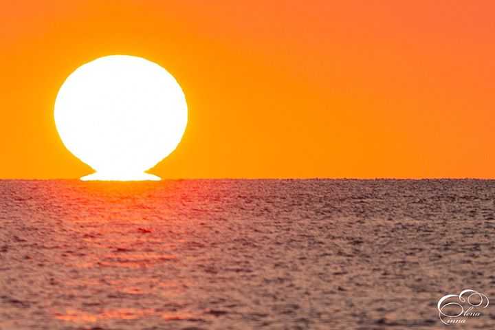 Sole-Omega-2