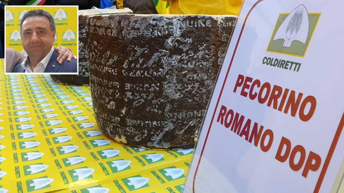 pecorino-romano-dop-Cualbu