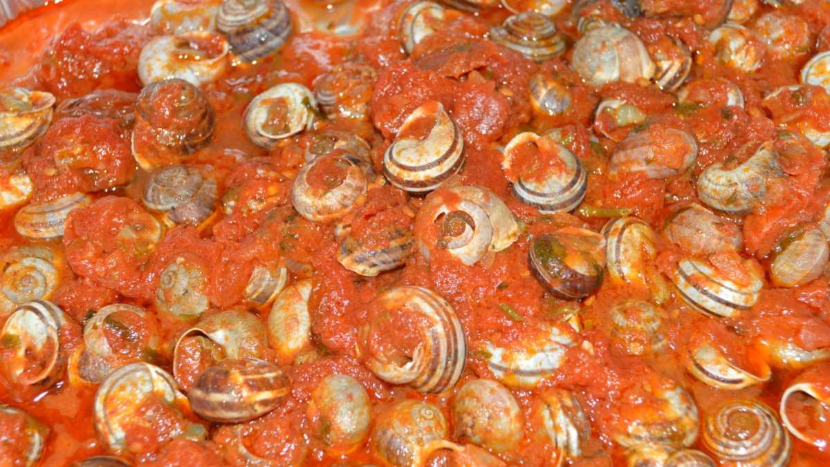 Lumache-al-sugo
