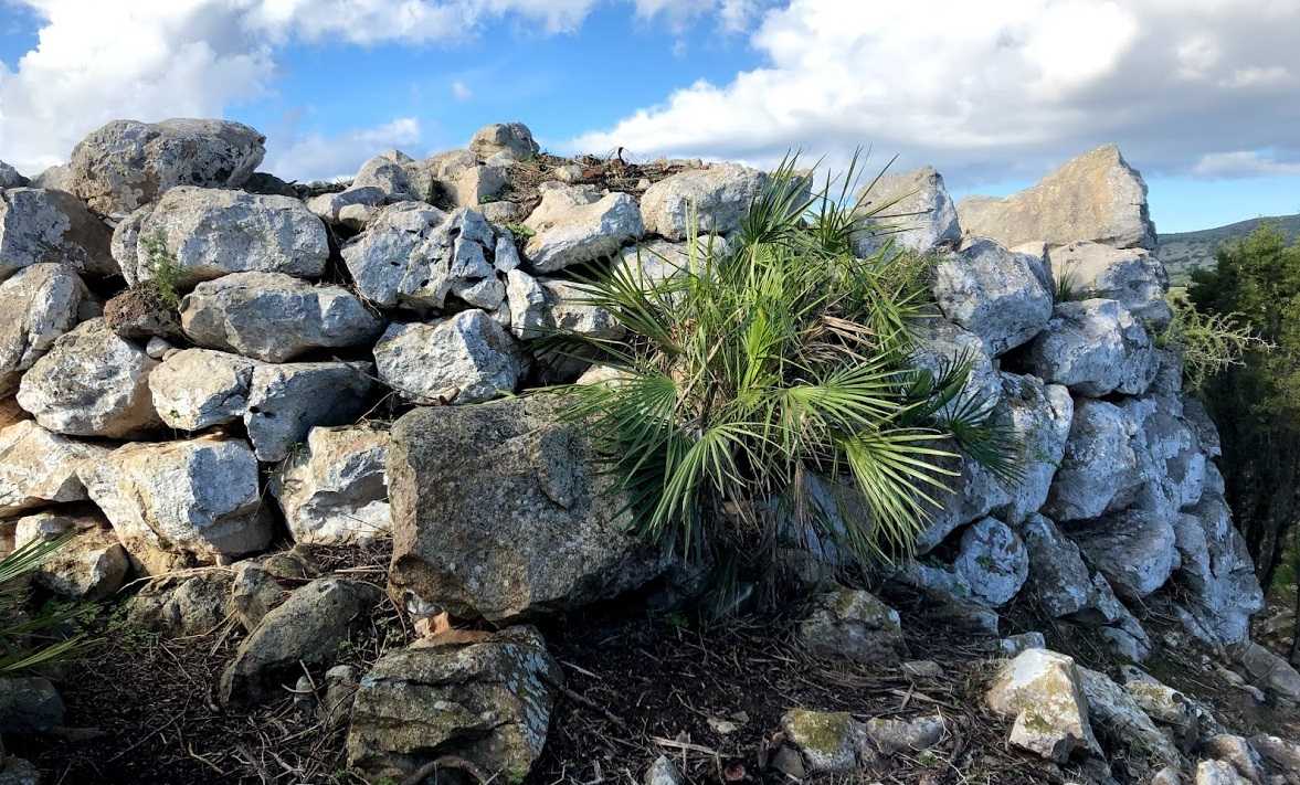 Nuraghe-Femminedda