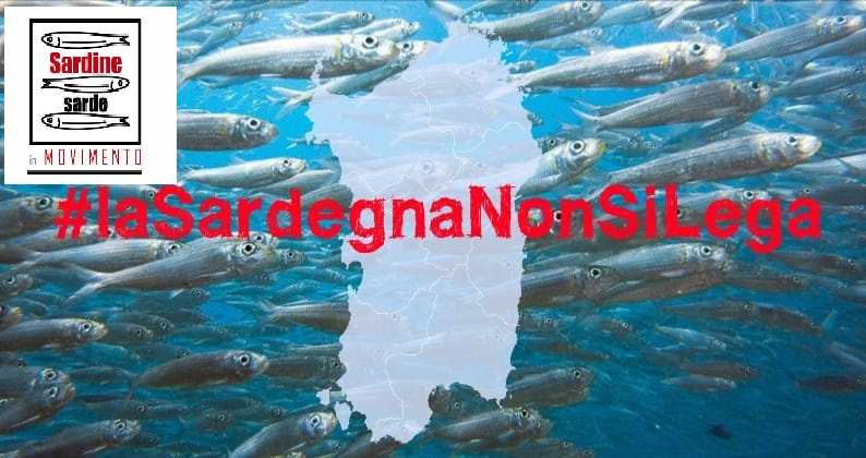 Sardine-sarde