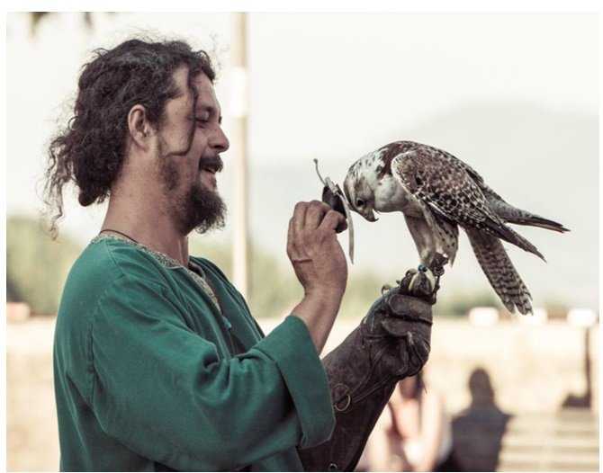 falconiere
