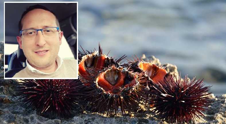 riccimaresardegna