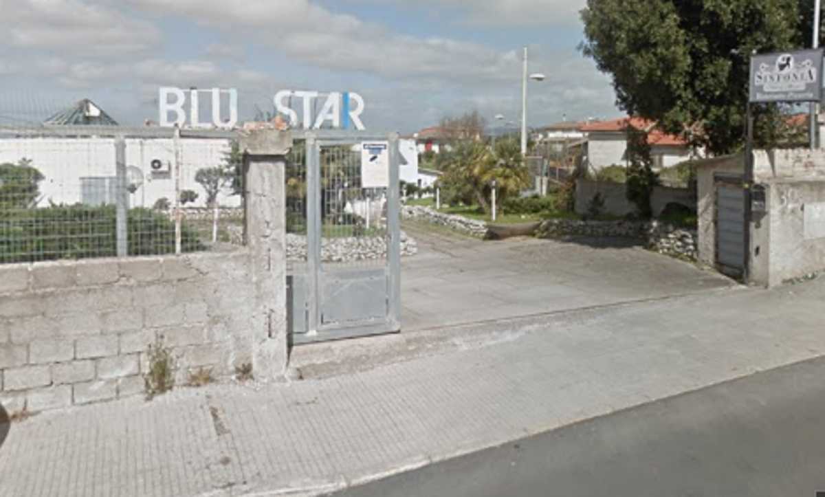Blu-Star-Ossi