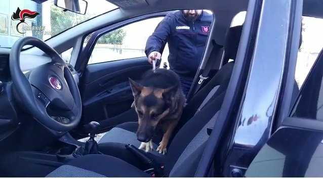 Cane-Antidroga-Carabinieri