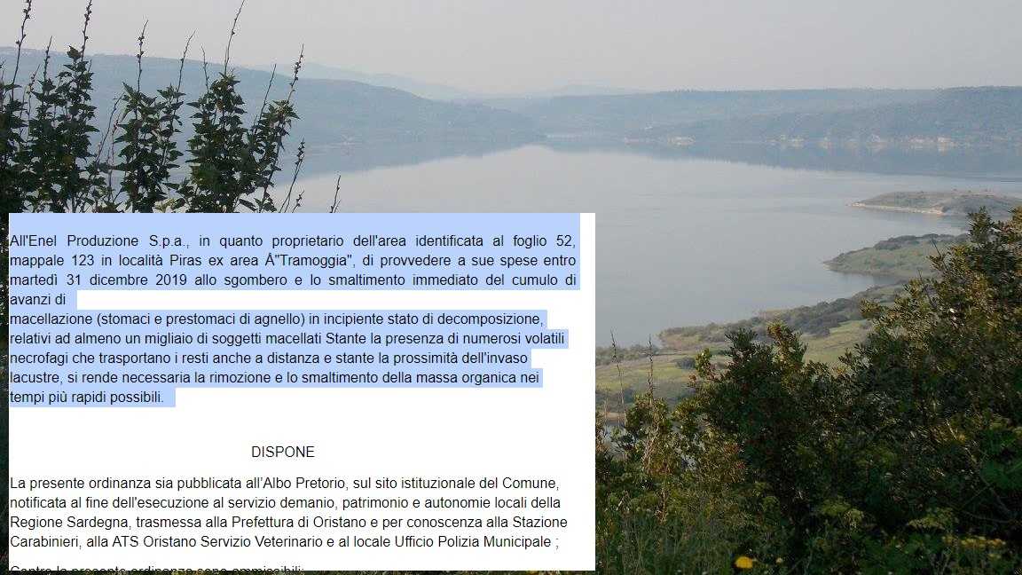 Sedilo-Omodeo-ordinanza