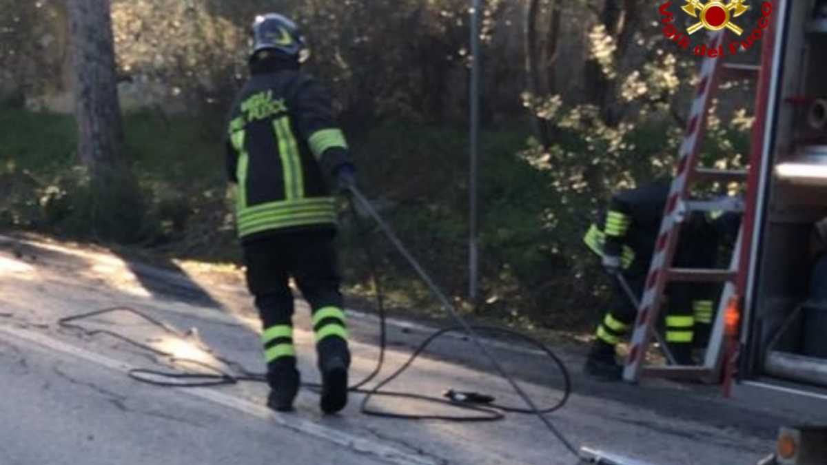 Vigili-del-fuoco-elmas-albero-caduto-2