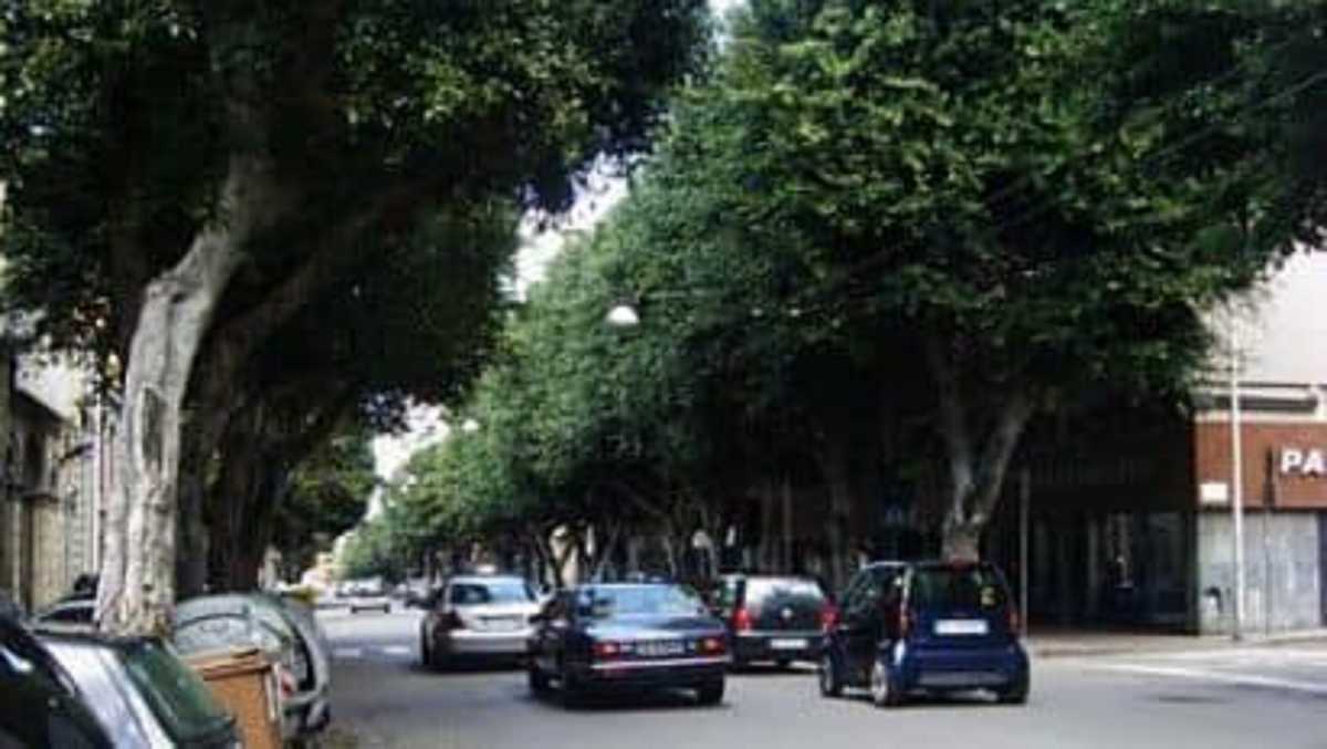 Viale-Trieste
