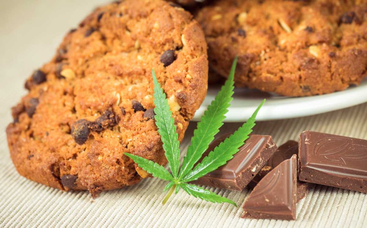 biscotti-cannabis