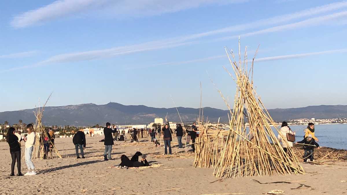canne-poetto