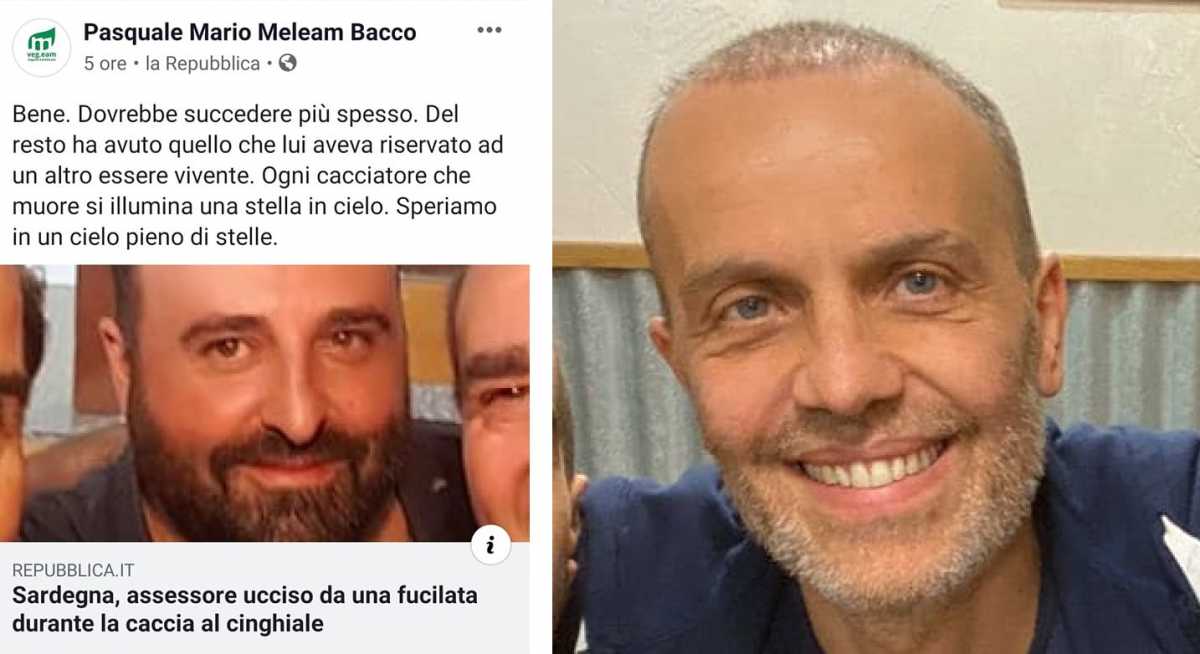meleam
