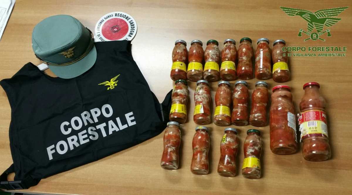 sequestro-ricci-di-mare