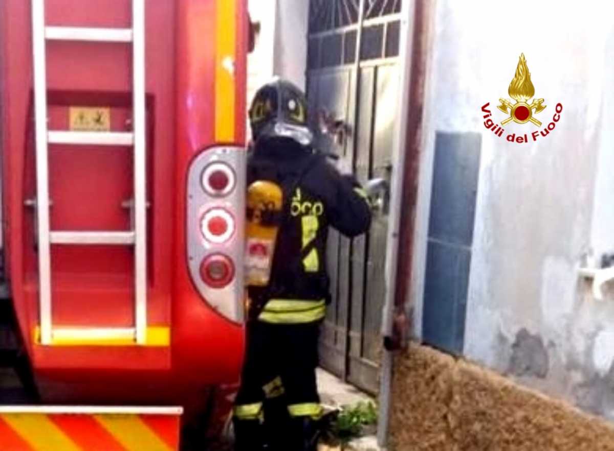 iNCENDIO-sERRAMANNA-1